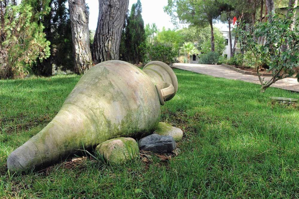 Villaggio Pineta Petto Bianco Capo Vaticano Eksteriør billede